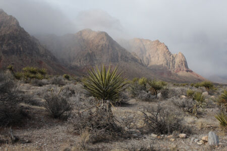 Red Rock Canyon National Conservation Area. Photo by John Hiscock Nevada
