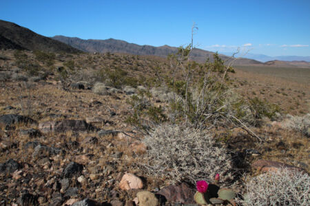 One of the rugged, unforgiving, Mojave Desert segments of the trail at Emigrant Pass. Photo by Jack Prichett California