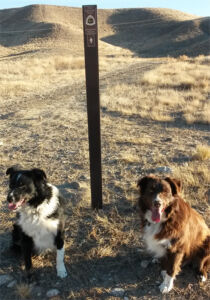 Dogs are welcome on many of the segments of the trail - please check your local community for leash requirements. Along the Trail